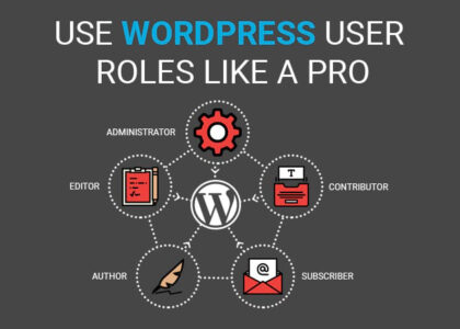 What Are The Different Types Of User In WordPress And Their Permissions