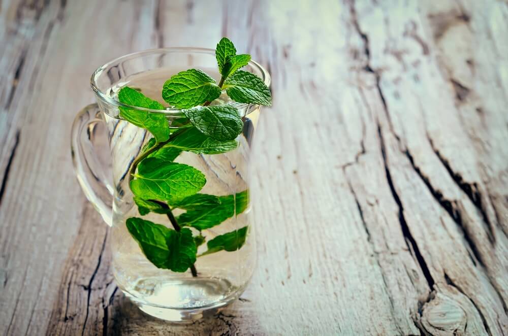 Pudina (Mint Water) - Special Effect on Our Body